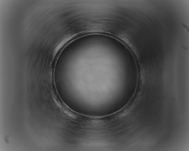 X0000101950933200807181447