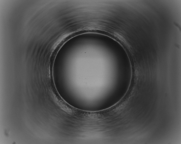 X0000101950934200807181447