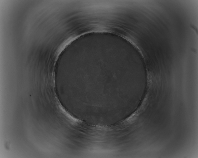 X0000101950935200807181447