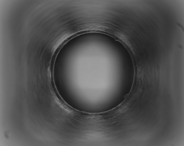 X0000101950936200807181447