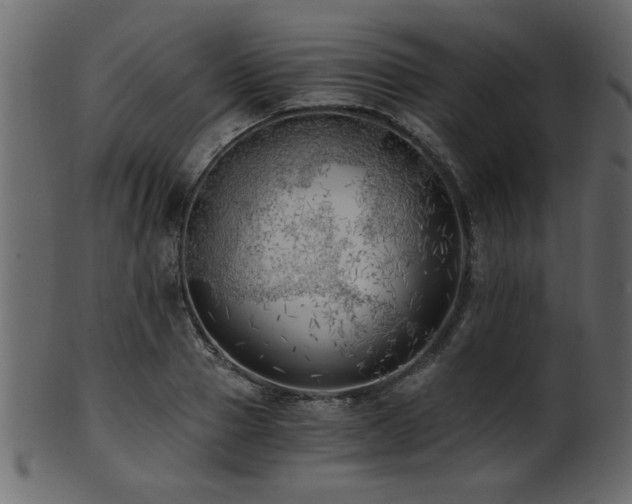 X0000101950937200807181447