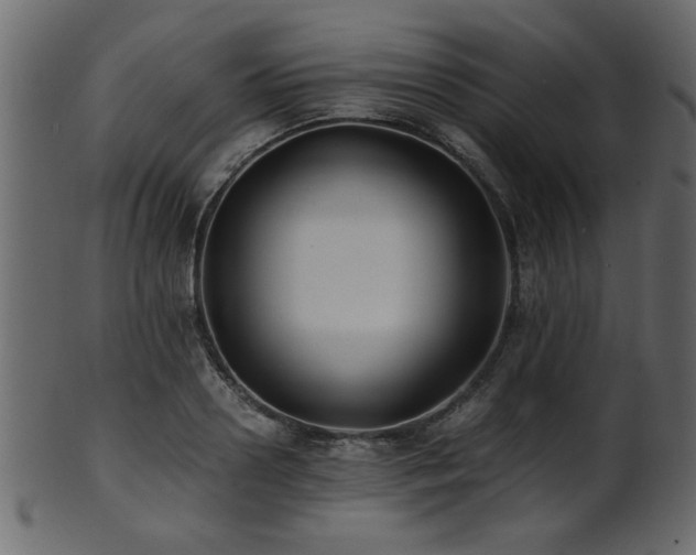 X0000101950938200807181447