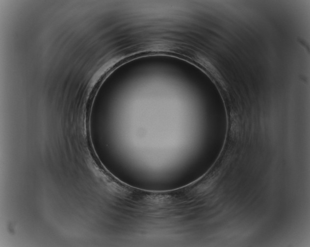 X0000101950939200807181447