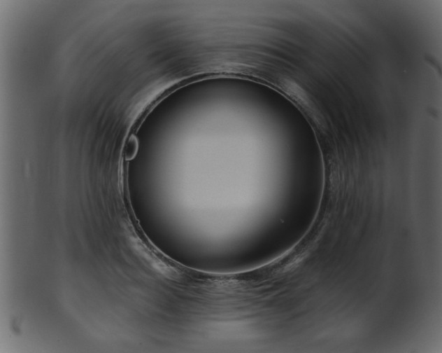 X0000101950940200807181447