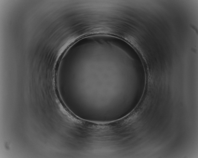 X0000101950941200807181447