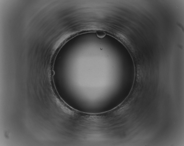 X0000101950942200807181447