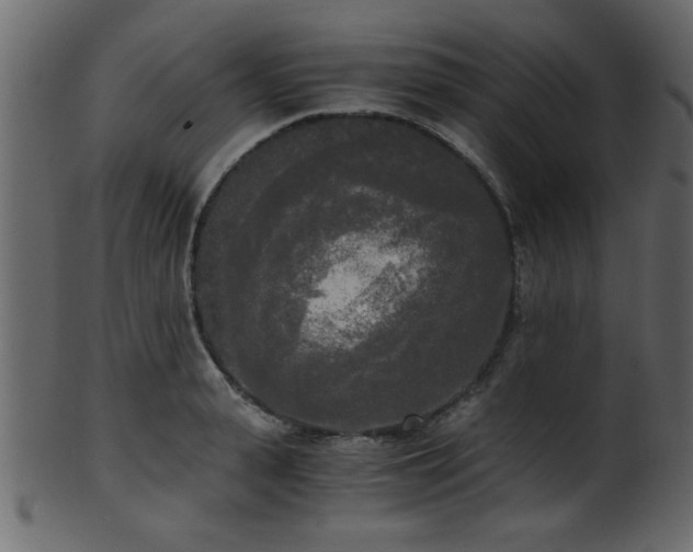 X0000101950943200807181447