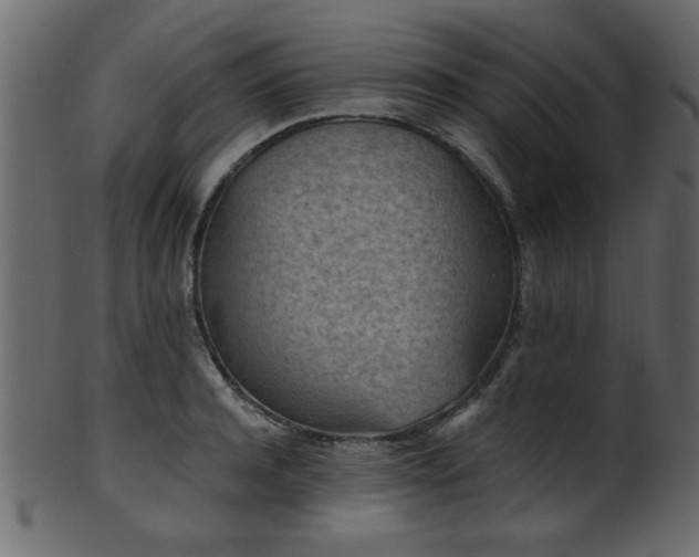 X0000101950944200807181447