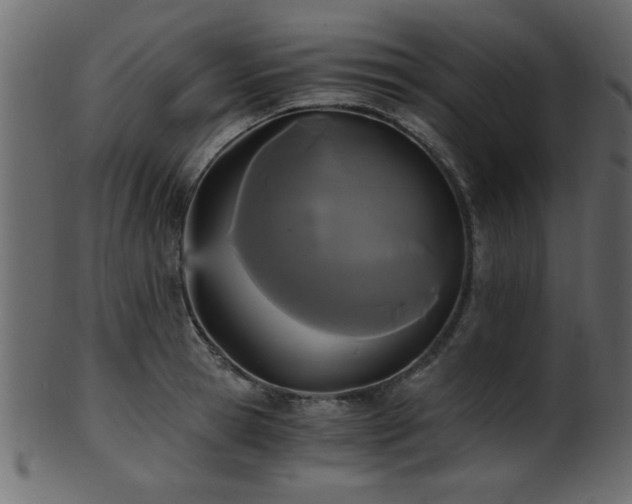 X0000101950945200807181447