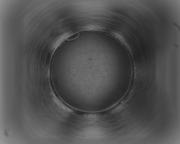 X0000101950946200807181447