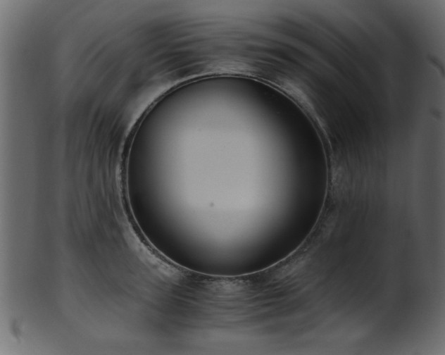 X0000101950947200807181447