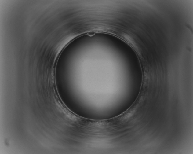 X0000101950948200807181447