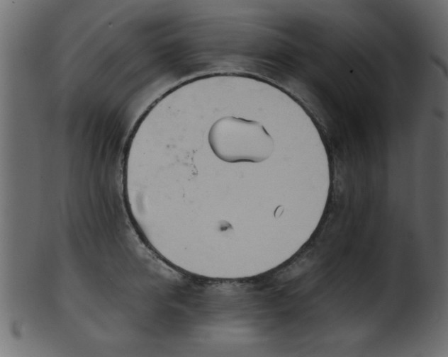 X0000101950950200807181447