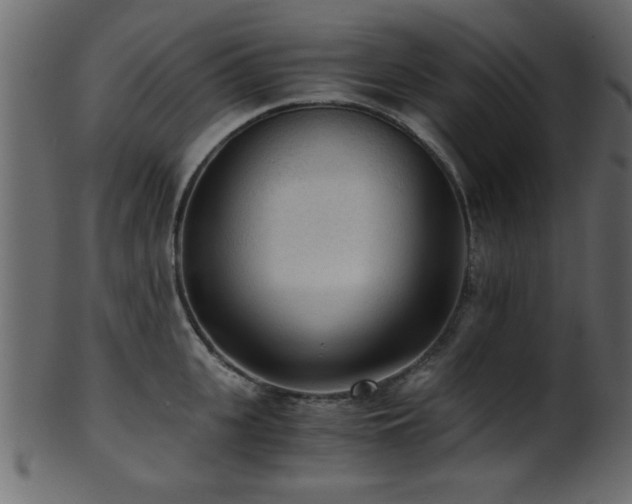 X0000101950951200807181447