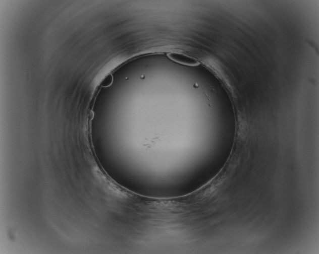 X0000101950952200807181447