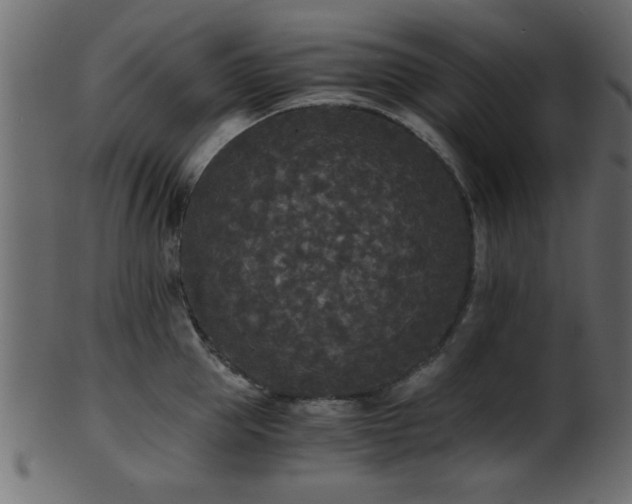 X0000101950953200807181447