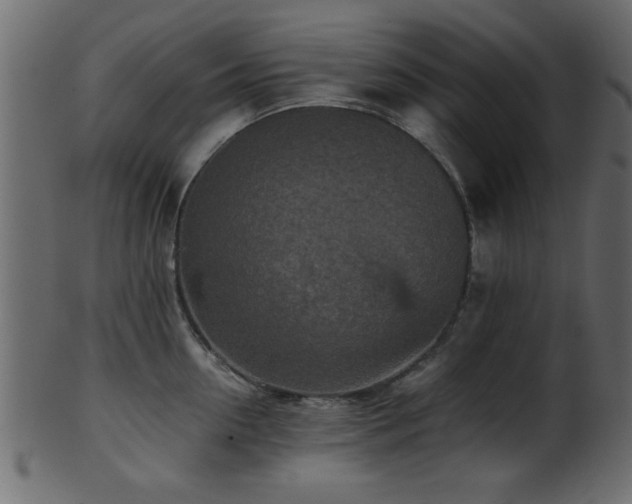 X0000101950954200807181447