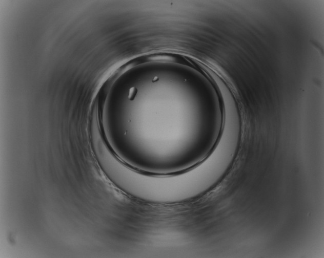 X0000101950956200807181447