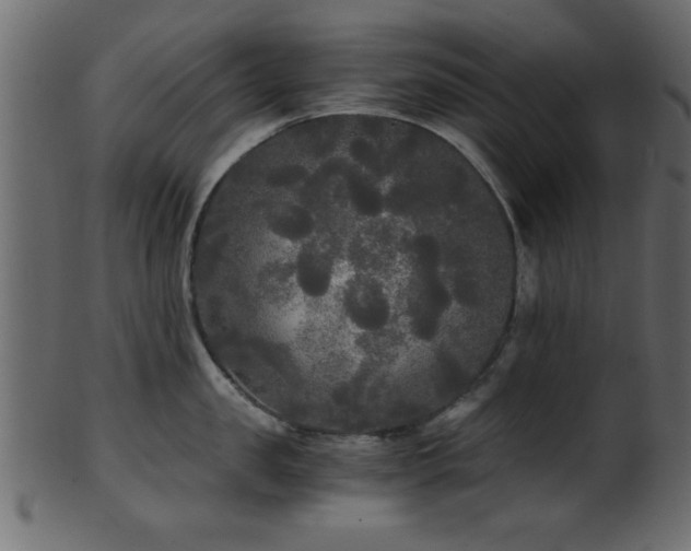 X0000101950957200807181447