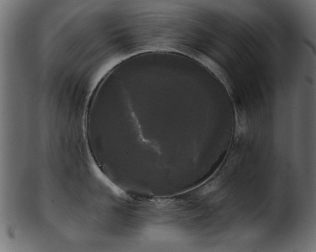 X0000101950958200807181447