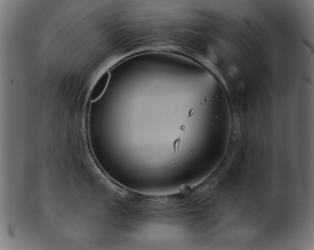 X0000101950959200807181447