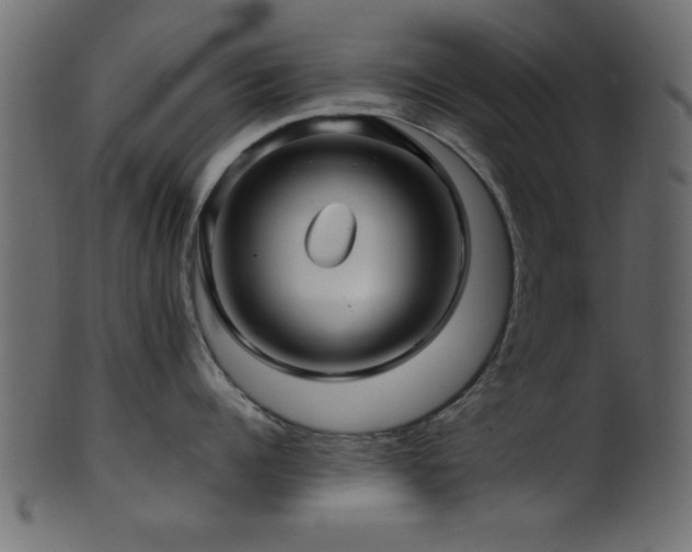 X0000101950960200807181447