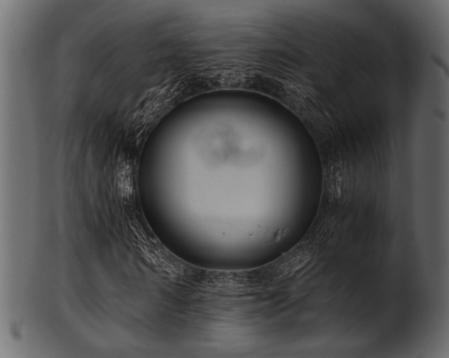 X0000101950962200807181447