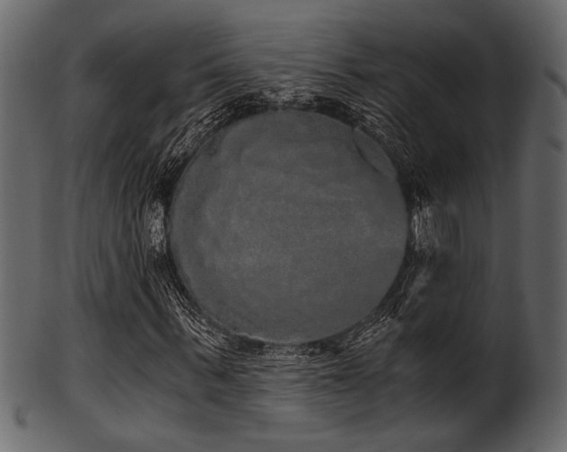 X0000101950963200807181447