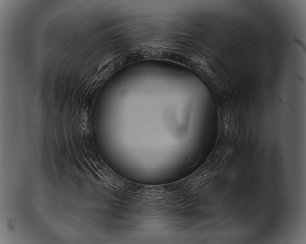 X0000101950964200807181447