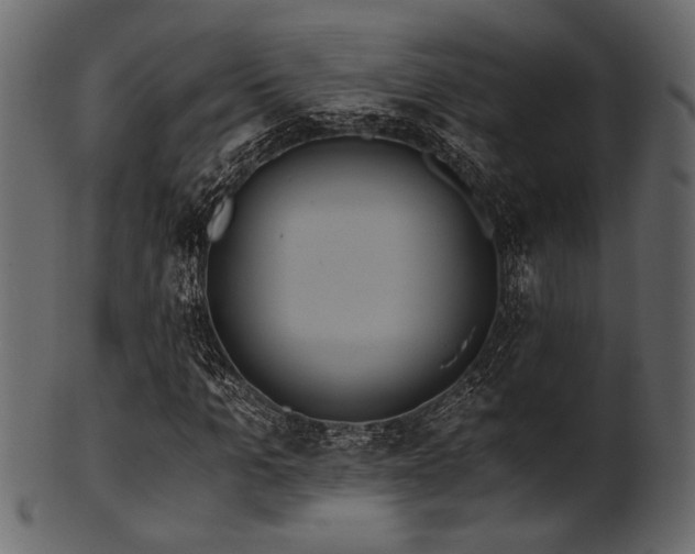 X0000101950965200807181447