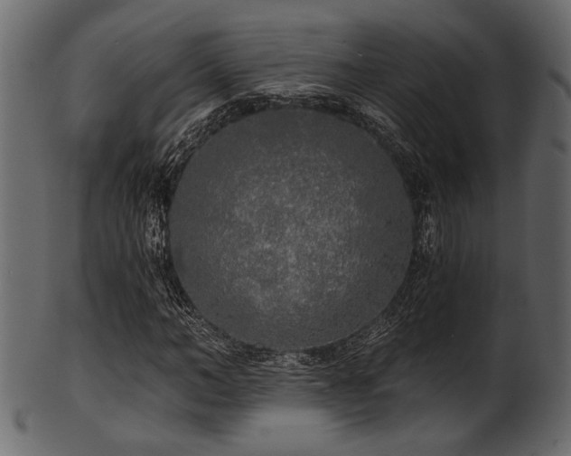 X0000101950966200807181447