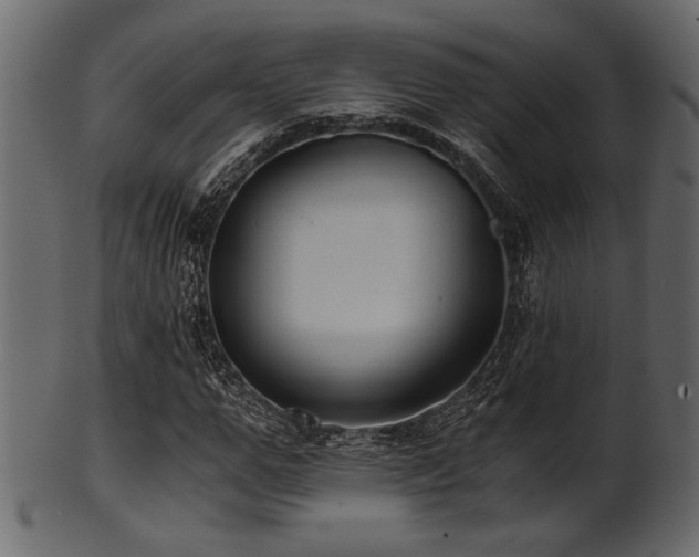 X0000101950967200807181447