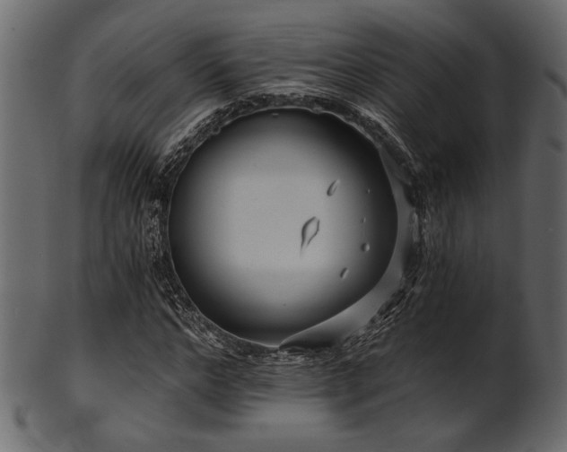 X0000101950968200807181447