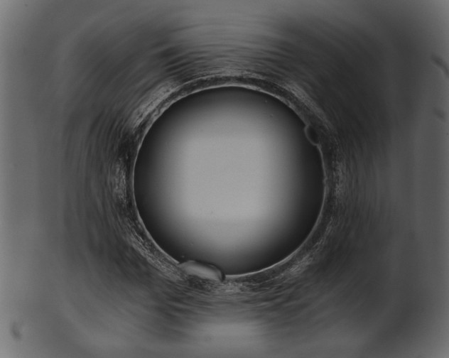 X0000101950969200807181447