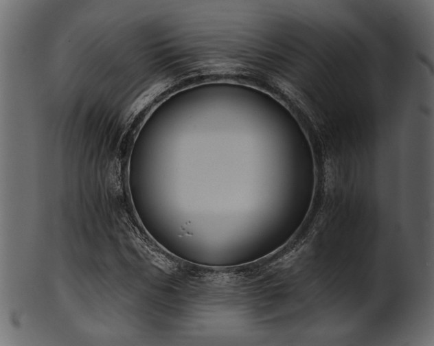 X0000101950970200807181447