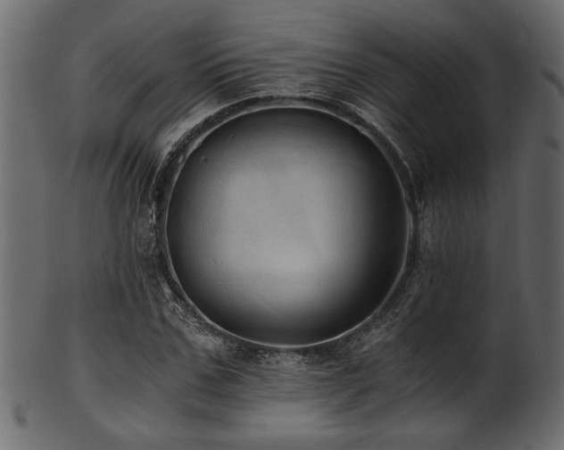 X0000101950971200807181447