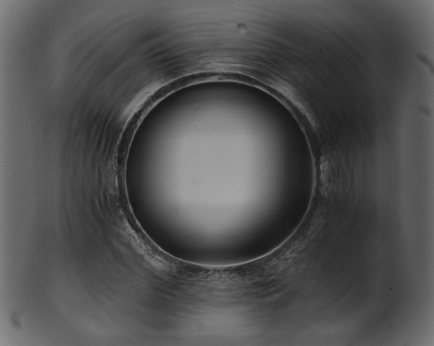 X0000101950972200807181447