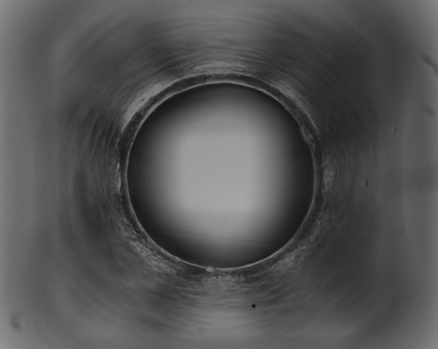 X0000101950973200807181447