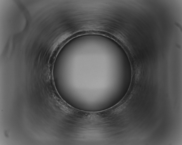 X0000101950974200807181447