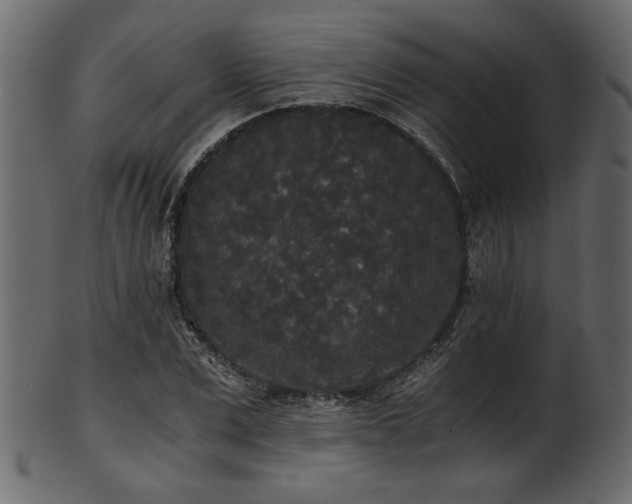 X0000101950975200807181447