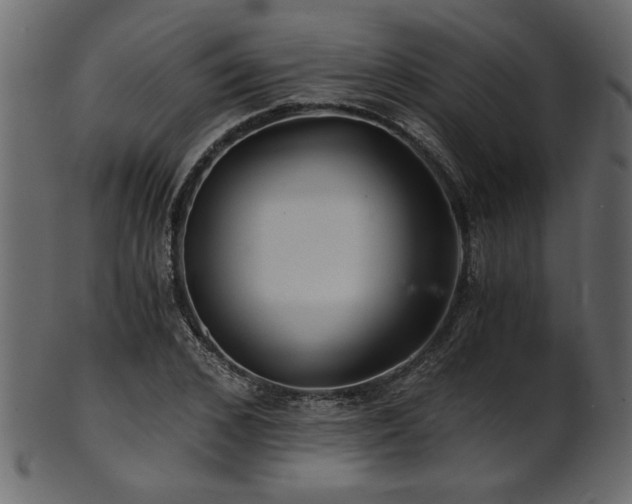 X0000101950976200807181447