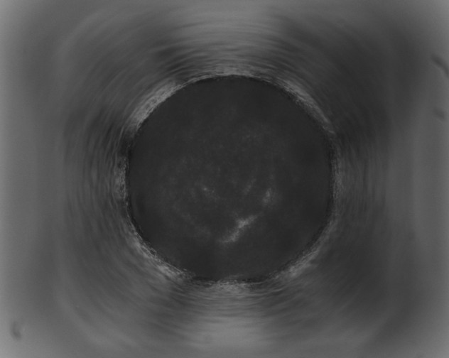 X0000101950977200807181447