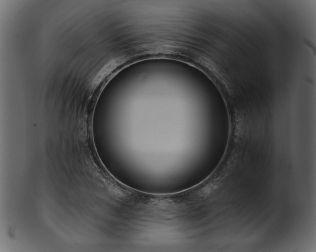 X0000101950978200807181447