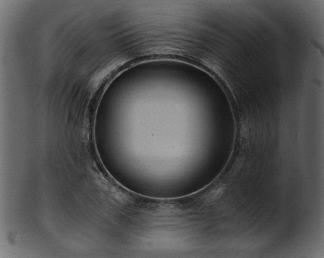 X0000101950979200807181446