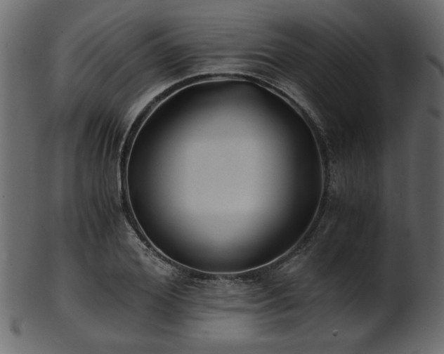 X0000101950980200807181446