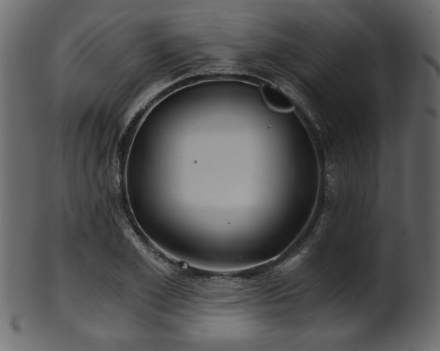 X0000101950981200807181446