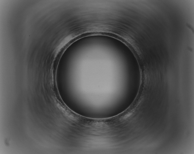 X0000101950982200807181446