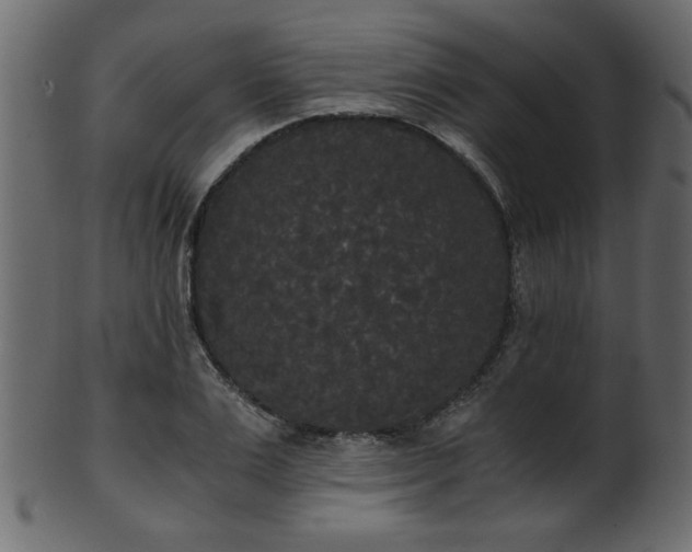 X0000101950983200807181446