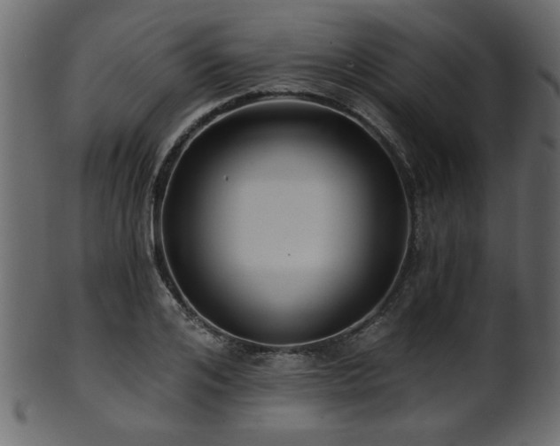 X0000101950984200807181446