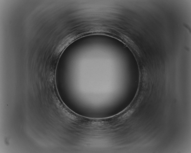 X0000101950985200807181446